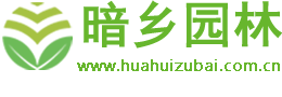 天津暗乡花卉商城